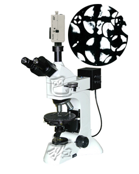 偏光显微镜 透反射偏光显微镜