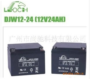 LEOCH理士DJW12-24 12V24AH蓄电池