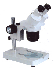 供应双目两档变倍体视显微镜GRGH-1020H