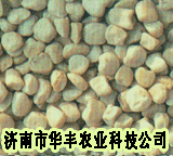 松柳种子