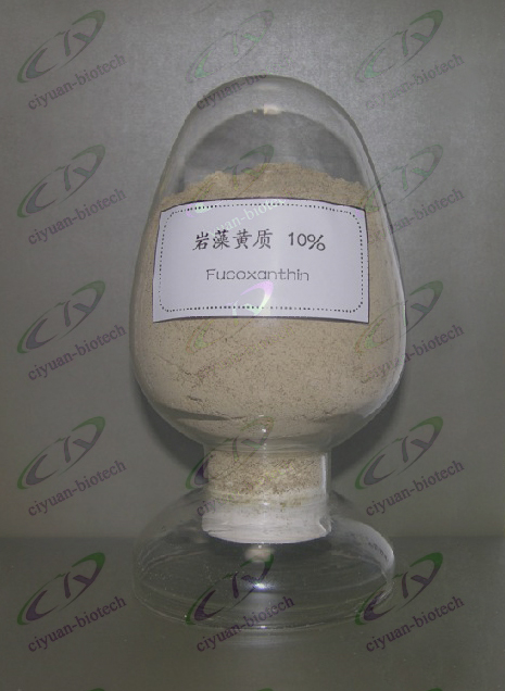 供应岩藻黄质（海带、裙带菜、墨角藻来源全线供应）