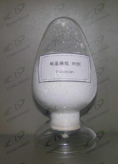 供应天然海洋化妆品原料褐藻糖胶