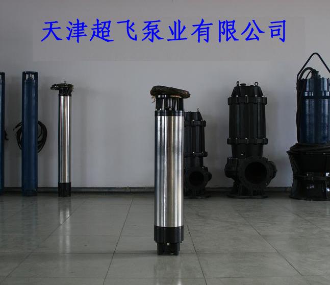天津不锈钢喷泉泵，海水喷泉泵