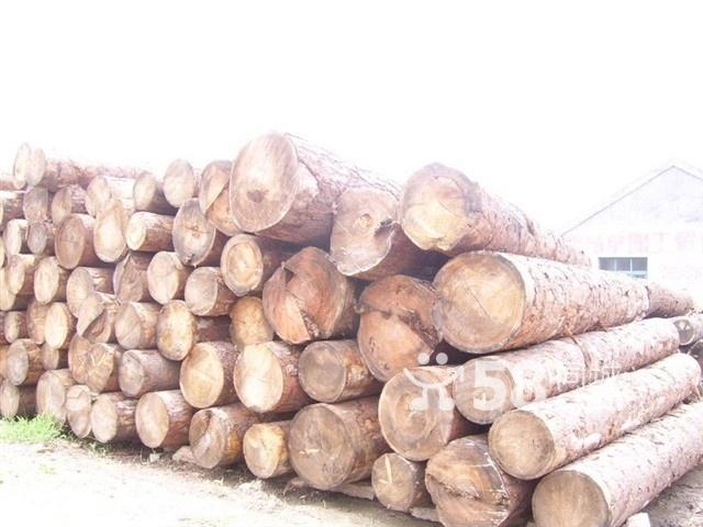 木制品进口熏蒸消毒代理