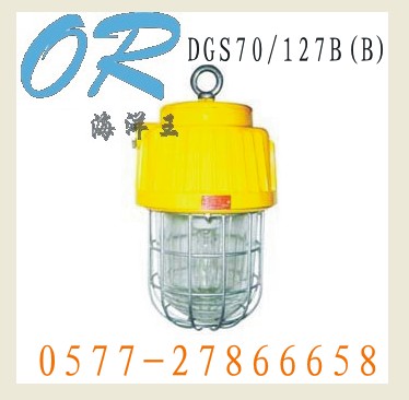 海洋王 DGS70/127B(B) 矿用隔爆型泛光灯