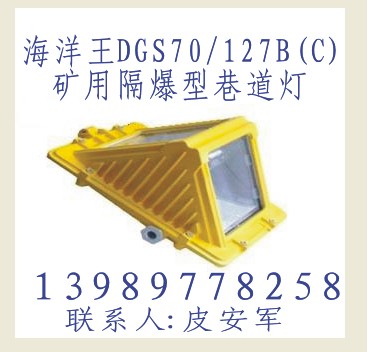 海洋王  DGS70/127B(C)  矿用隔爆型巷道灯