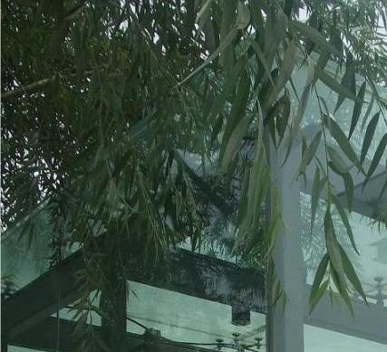 长期供应西安点支式玻璃幕墙价格实惠欢迎选购