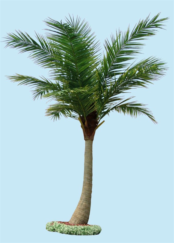 供应仿真植物  人造椰子树、人造海藻树、棕榈树、榕树