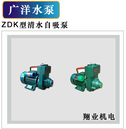 自吸泵/广洋水泵/东莞生产水泵/清水自吸泵