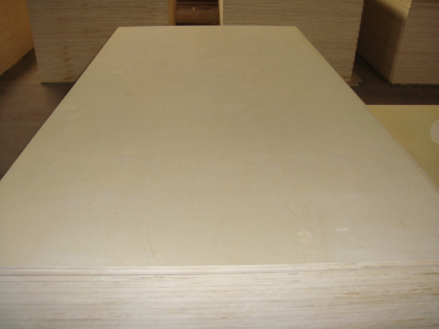 大量销售CARB认证桦木面底杨木芯胶合板、多层板
