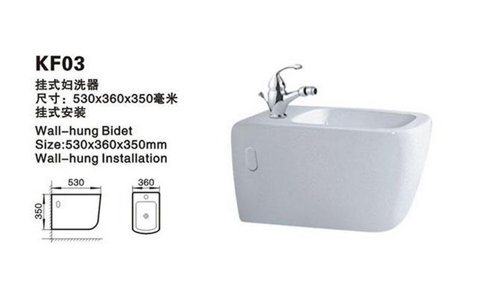 中国卫浴十大畅销品牌-阿里斯顿卫浴妇洗器尊贵生活的标志