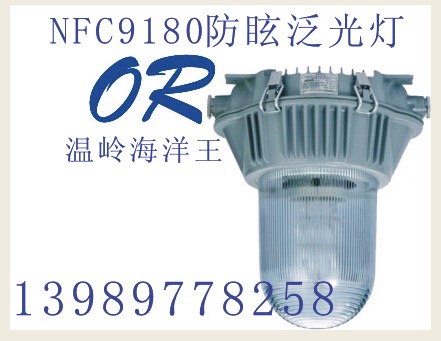 温岭海洋王NFC9180防眩泛光灯NFE9180
