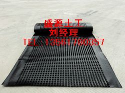 长春夹层板价格,疏水板生产,绿化排水板13561780357