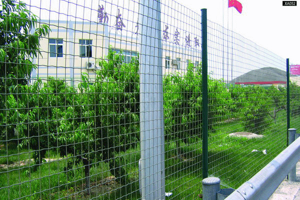 铁丝网 铁丝网片铁丝防护网镀锌铁丝网 铁丝围栏网 场地铁丝网