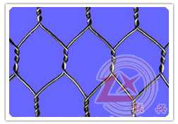 供应六角网、拧花网