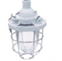 BAD51隔爆型防爆灯