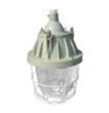 BAD54隔爆型防爆灯