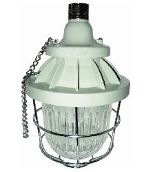 BAD55隔爆型防爆灯