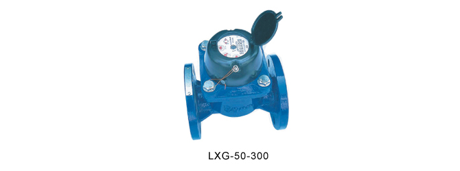 LXG水平旋翼式水表（污水表）