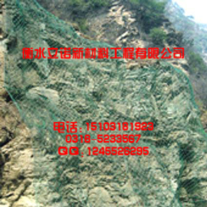 柔性包塑防护网|SNS浸塑型边坡防护网 万平米批发专场