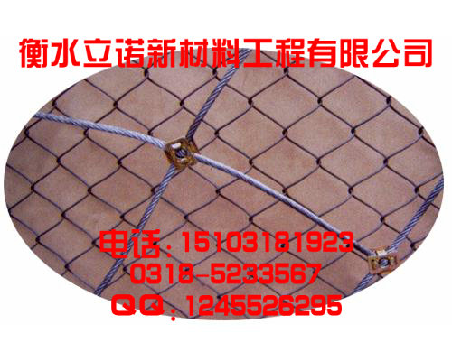 火爆品牌SNS防护网|柔性SNS边坡防护网 衡水立诺生产安装