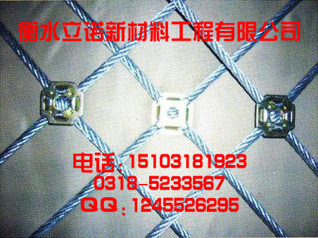 SNS主动防护网|景区旅游区主动防护网 好边坡防护网立诺造