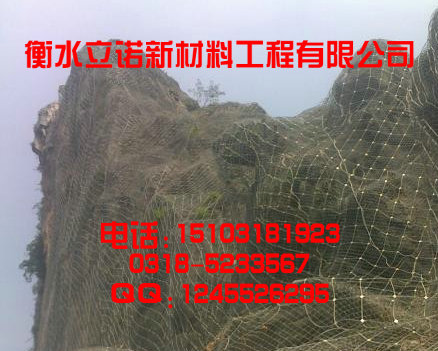 GPS2主动防护网|山体主动边坡防护网火爆型号GPS2