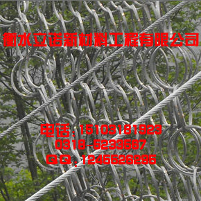 被动环形防护网|RXI025-200环形网,厂家供货价格便宜