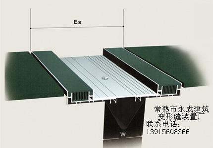 地面变形缝装置（伸缩缝）双列嵌平型