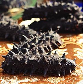 三山浦辽刺参、大连刺参、刺参诚招代理