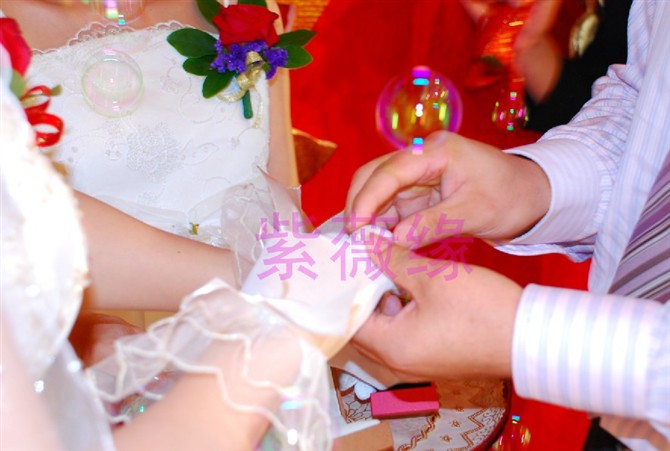 ●★★深圳婚礼摄像摄影 婚礼跟拍13058086772★★●