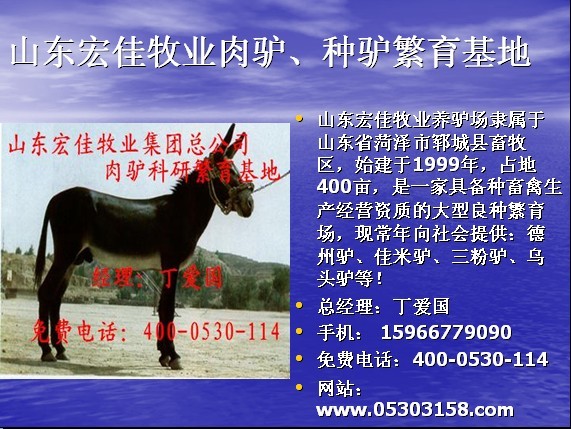 上海养驴场-上海哪里有养驴场