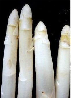 芦笋加工 芦笋产地 芦笋的营养价值 芦笋图片 芦笋茶