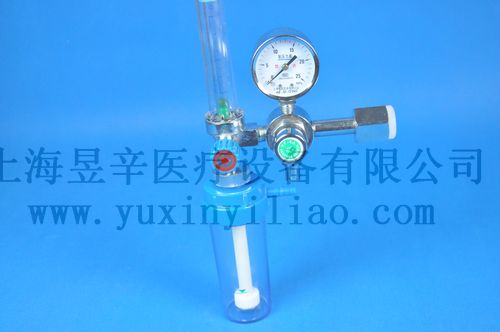 供应瓶插式氧气吸入器，湿化瓶，中心供氧，吸入器