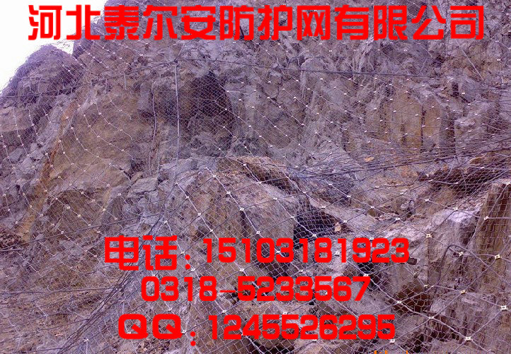 泰尔安SNS柔性防护网 高品质 低价格!太平洋保险承保