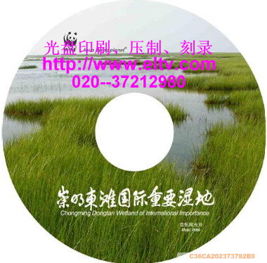 DVD VCD CD/印刷、丝印、胶印、压盘、刻录