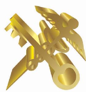 上海进口海运报关代理/洋山报关行