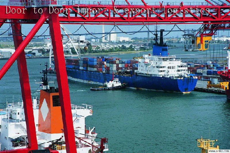 上海海关推荐/虎桥报关行