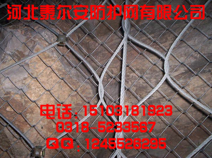 【四川主动防护网】四川高强钢丝格栅价格_四川高强钢丝格栅厂家