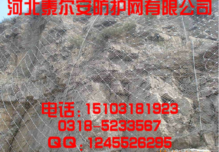 钢丝网|SNS主动防护网|钢丝网厂家-河北泰尔安防护网公司