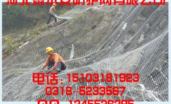 泰尔安SNS主动防护网 优质产品冲出中国 走向世界