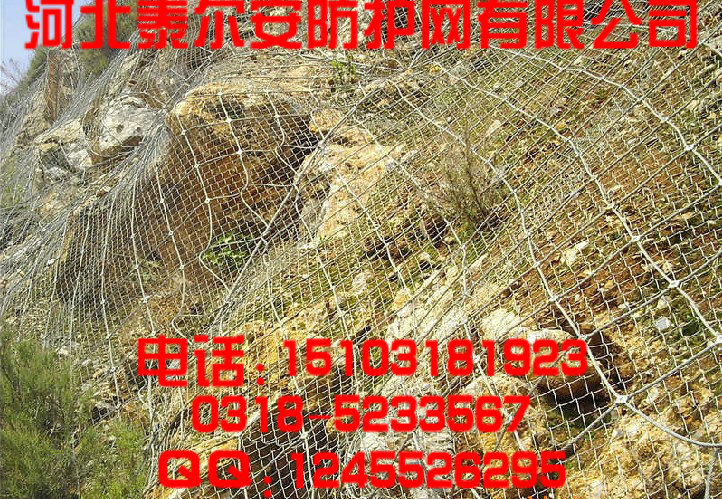 GPS2主动防护网 泰尔安边坡防护网最畅销的主动边坡防护网