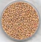 供应:优质小麦,大豆,绿豆,白糖