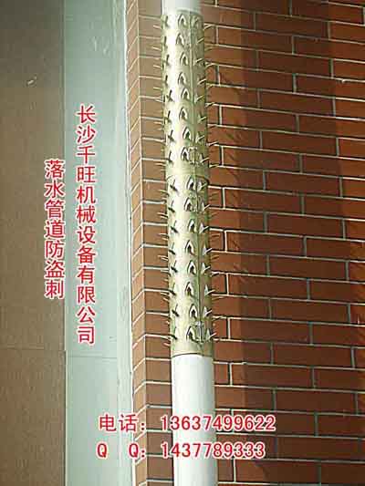 供应落水管道防盗刺 南宁落水管道防盗刺