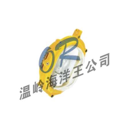 OR-BFC8120内场强光防爆灯