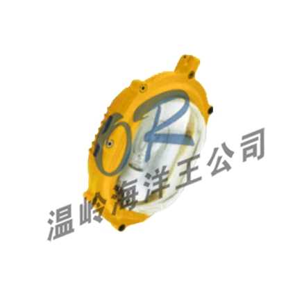 OR-BFE8120内场防爆应急灯