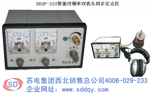 SSDSP-8222智能双频率双表头同步定点仪