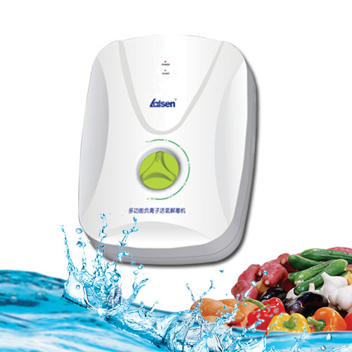 规模最大的果蔬解毒洗菜机生产厂家