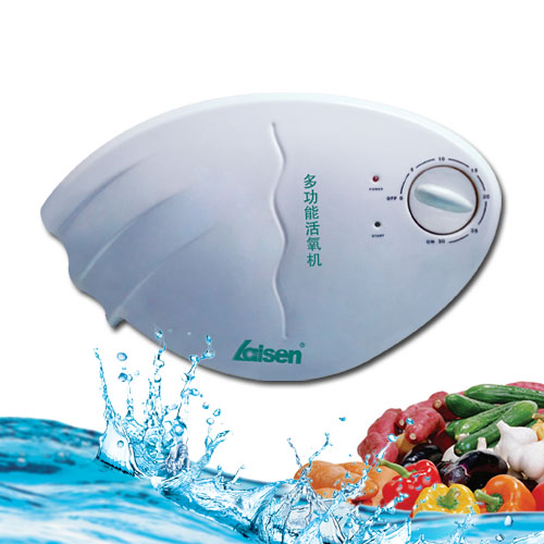 全球臭氧空气净化器贴牌代加工中心