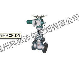 优惠销售电动闸阀Z941HW
